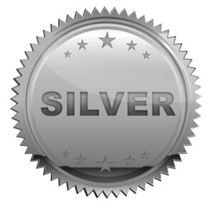 Silver - One Month